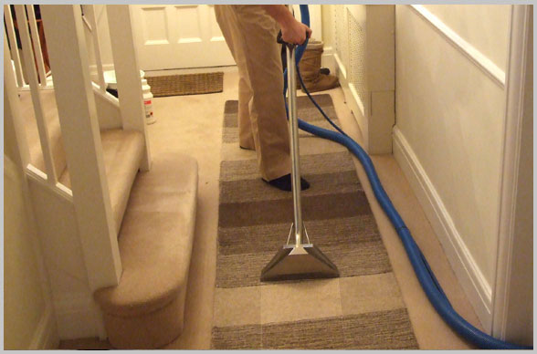 Rug Cleaning